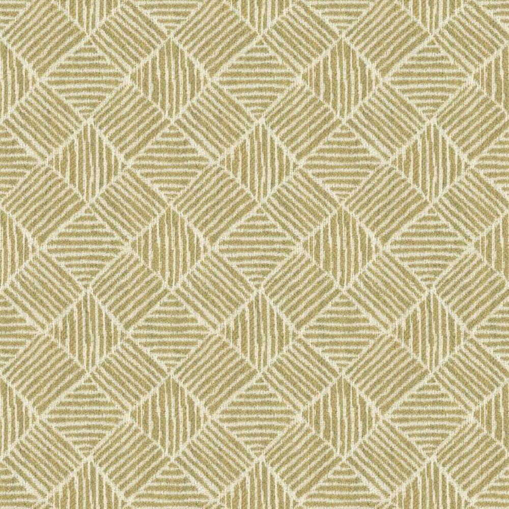 Shanty Hemp