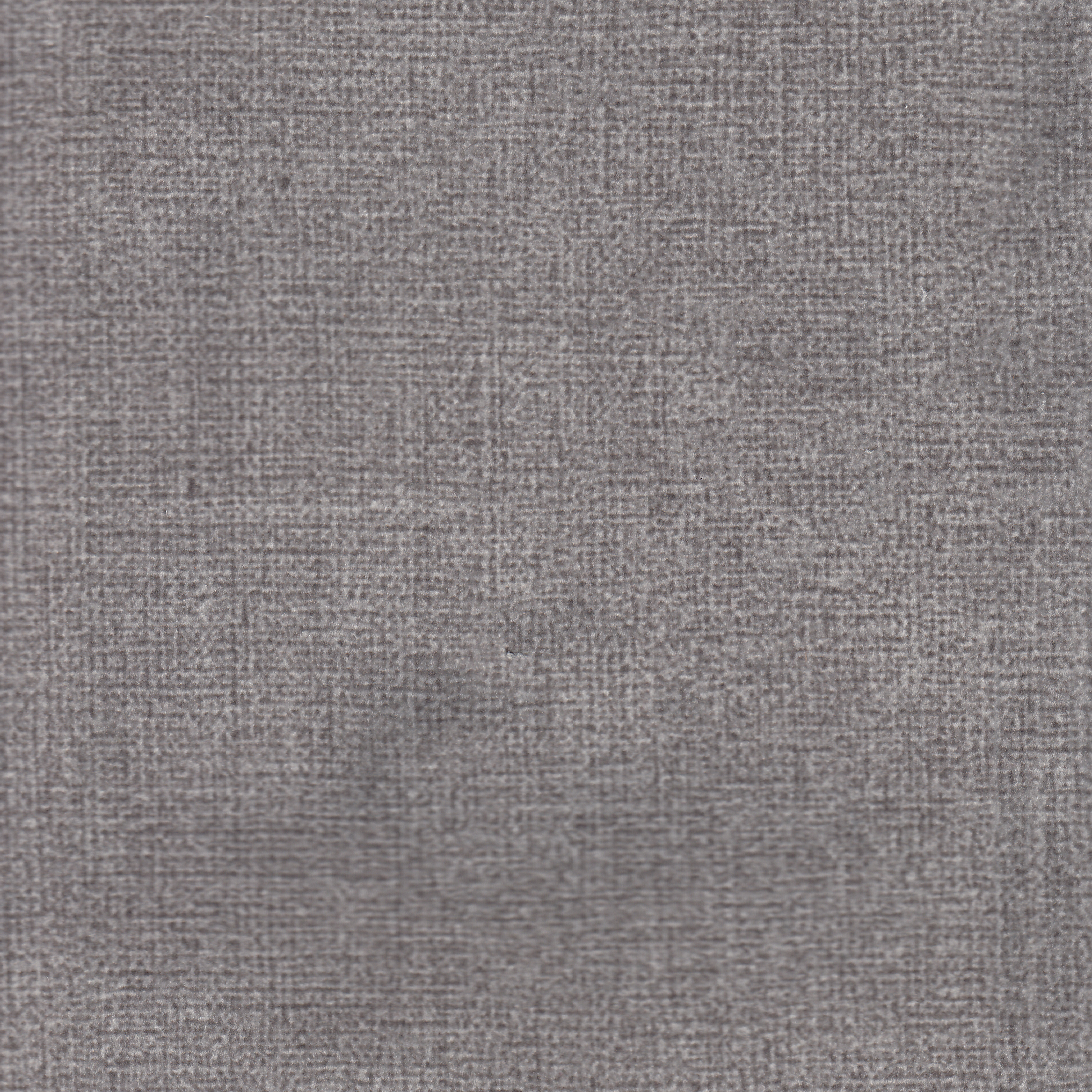 Afrodite Ash 03