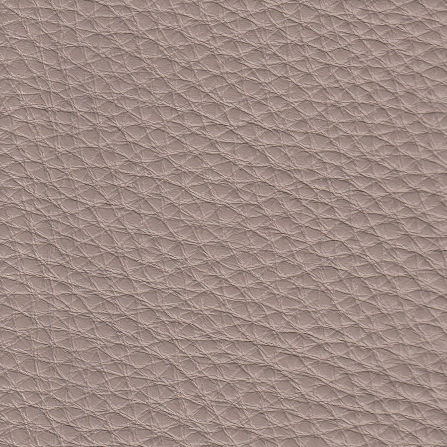 Dream Dove 20JL