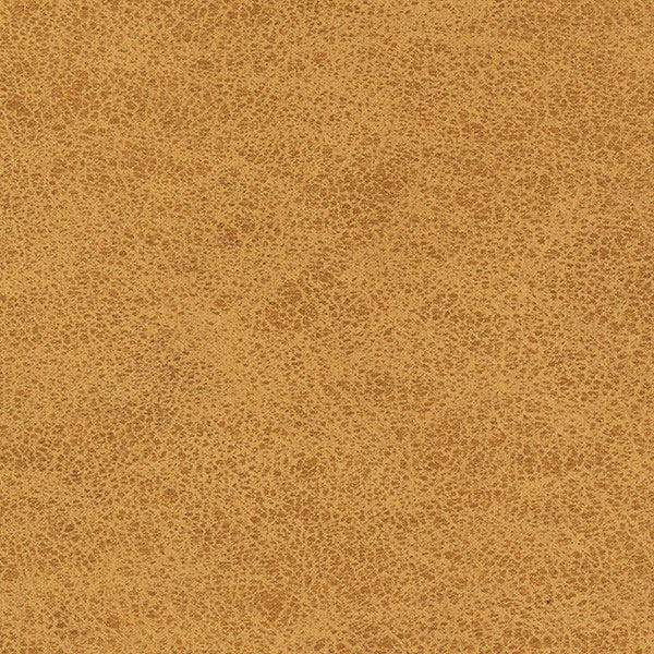 659-72 Camel