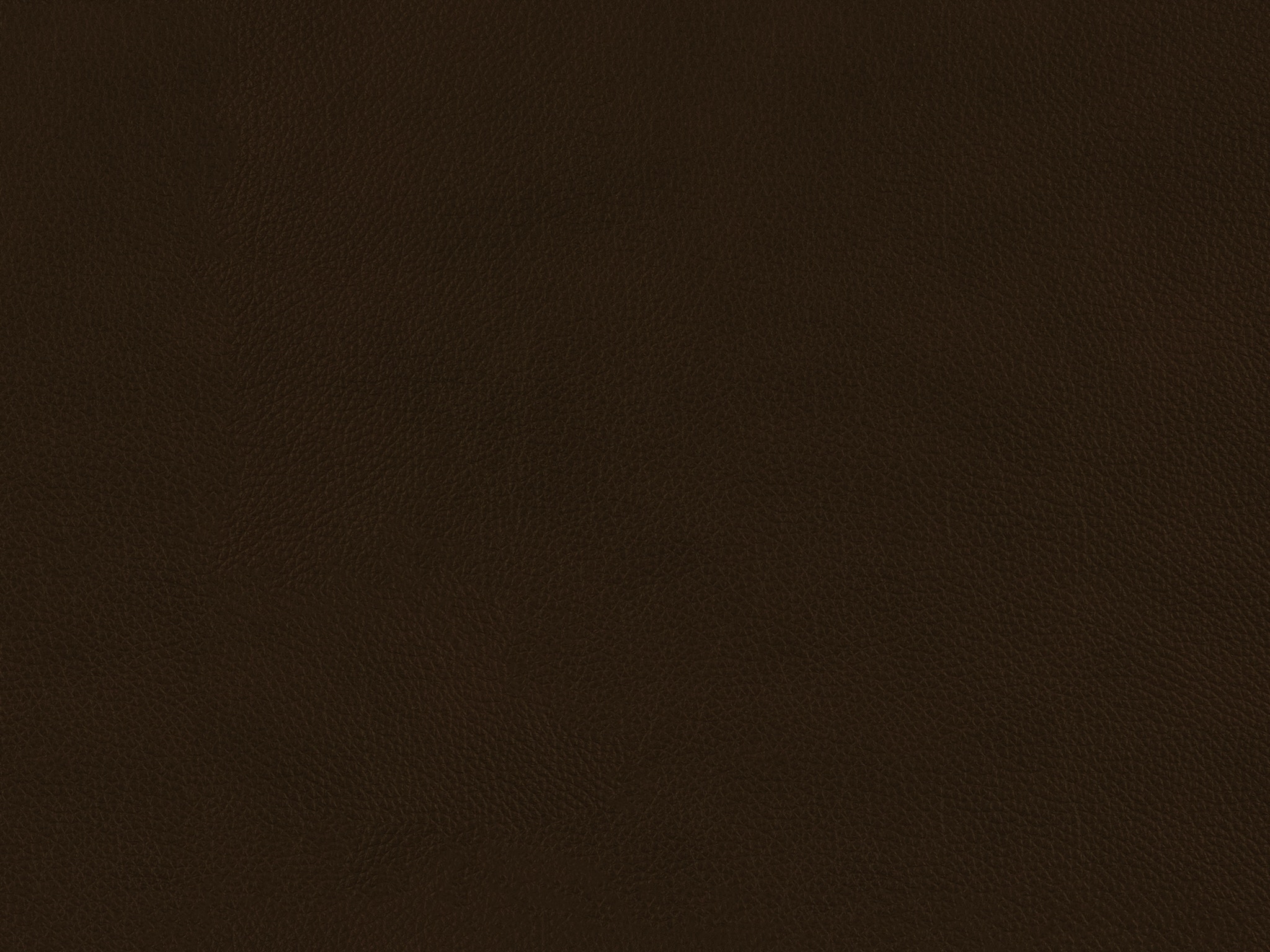 Rumor Saddle