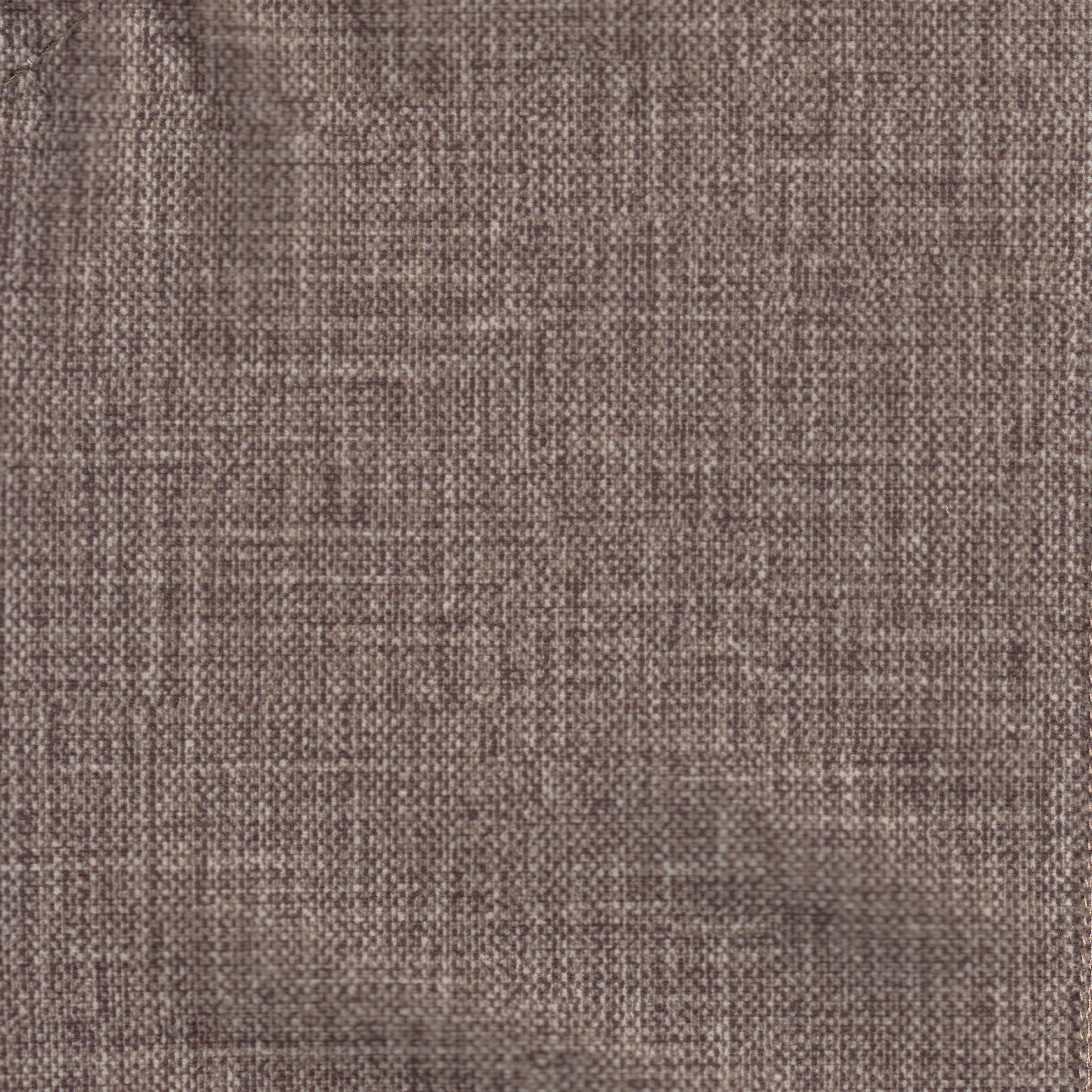 Bahari Mushroom 164-18