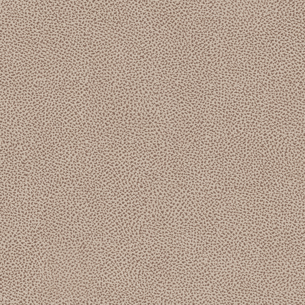 407-80 Sand