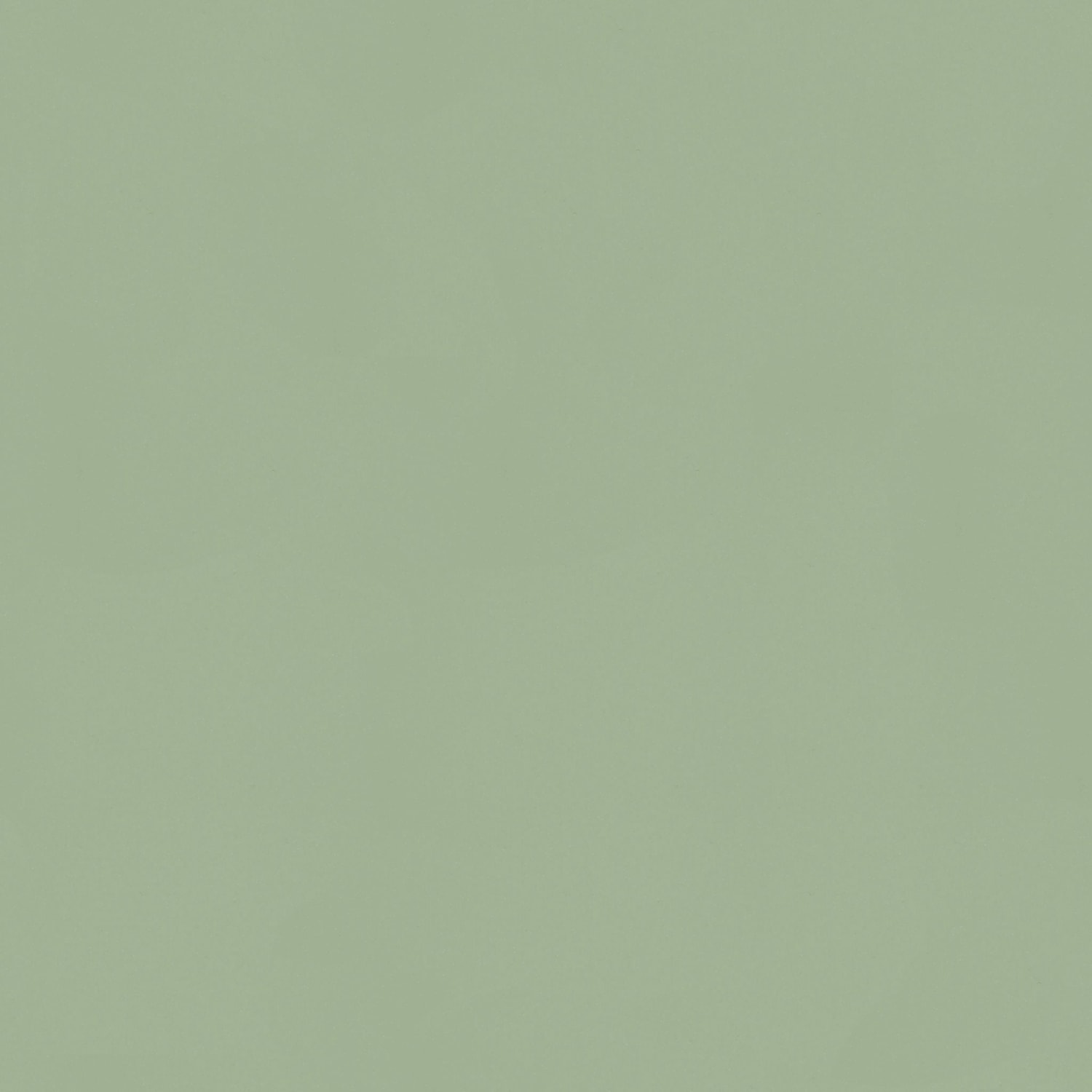 Celery