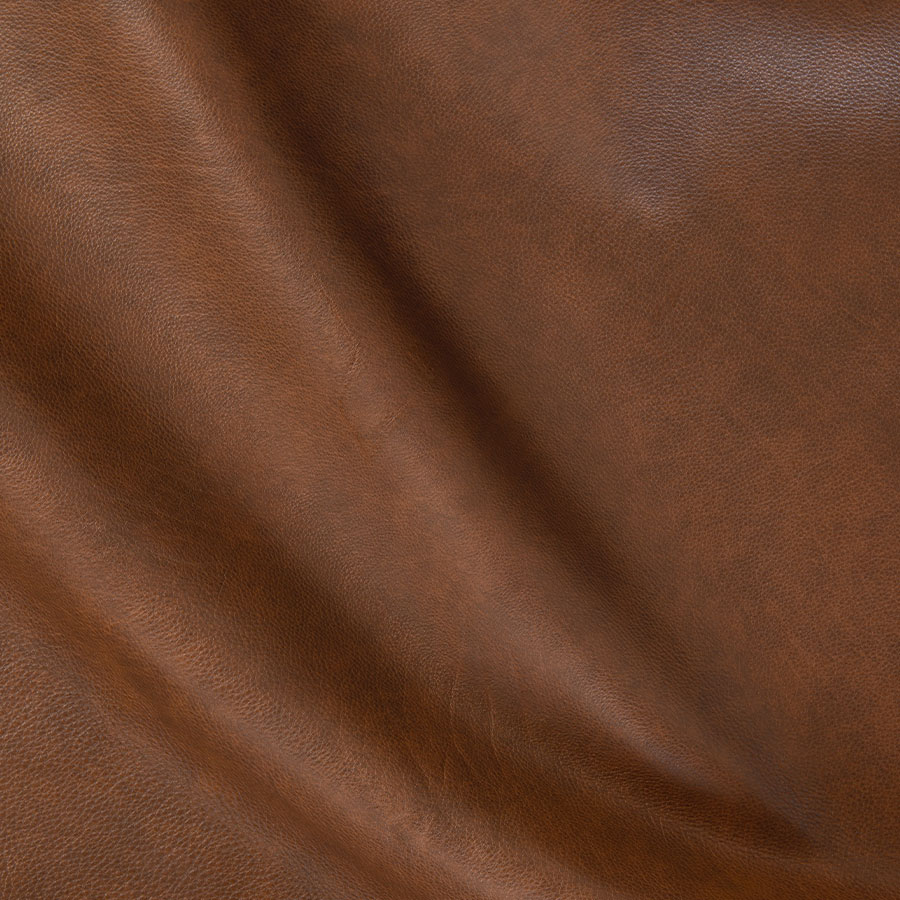 Pioneer Pecan