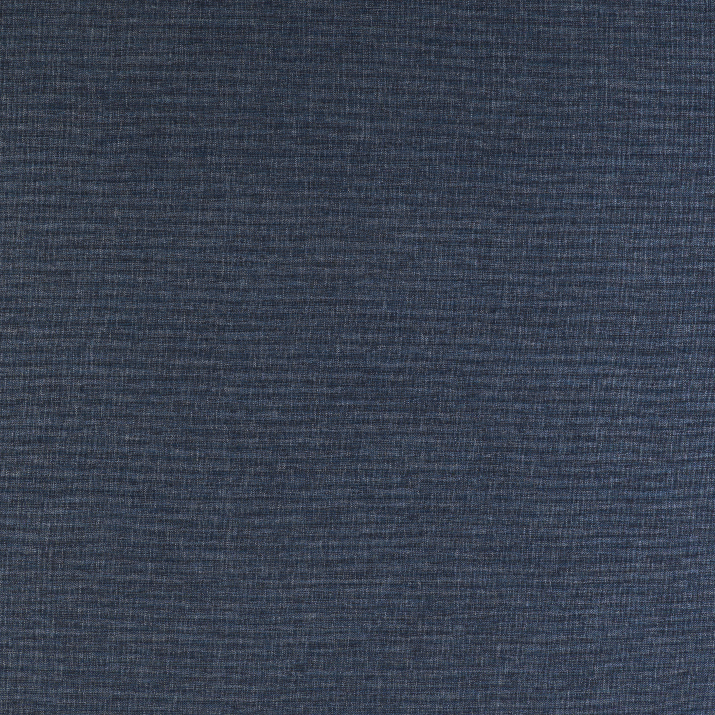Thrill Navy (Performance)