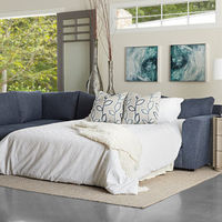 Sleeper Sectional