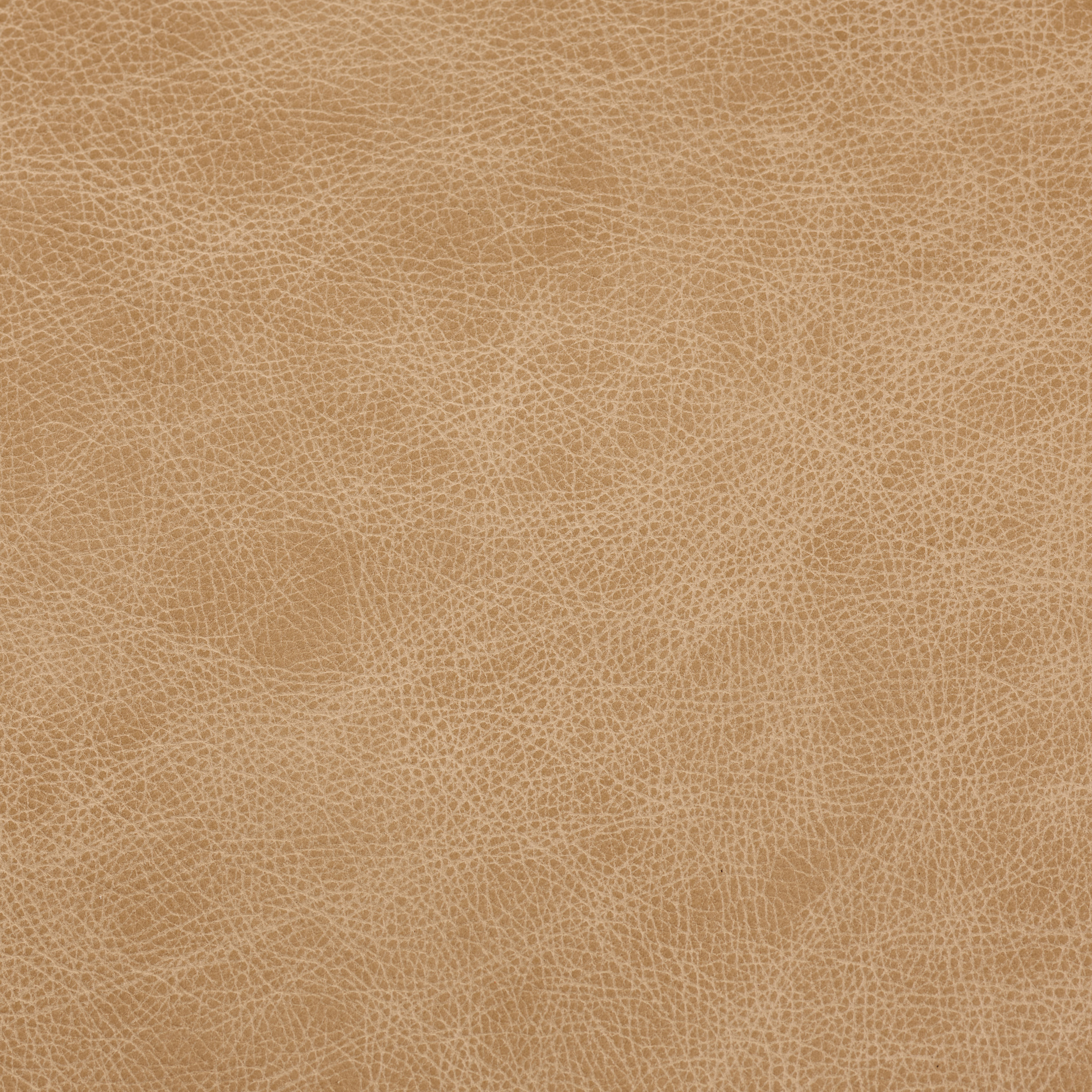 Saloon Cashew
