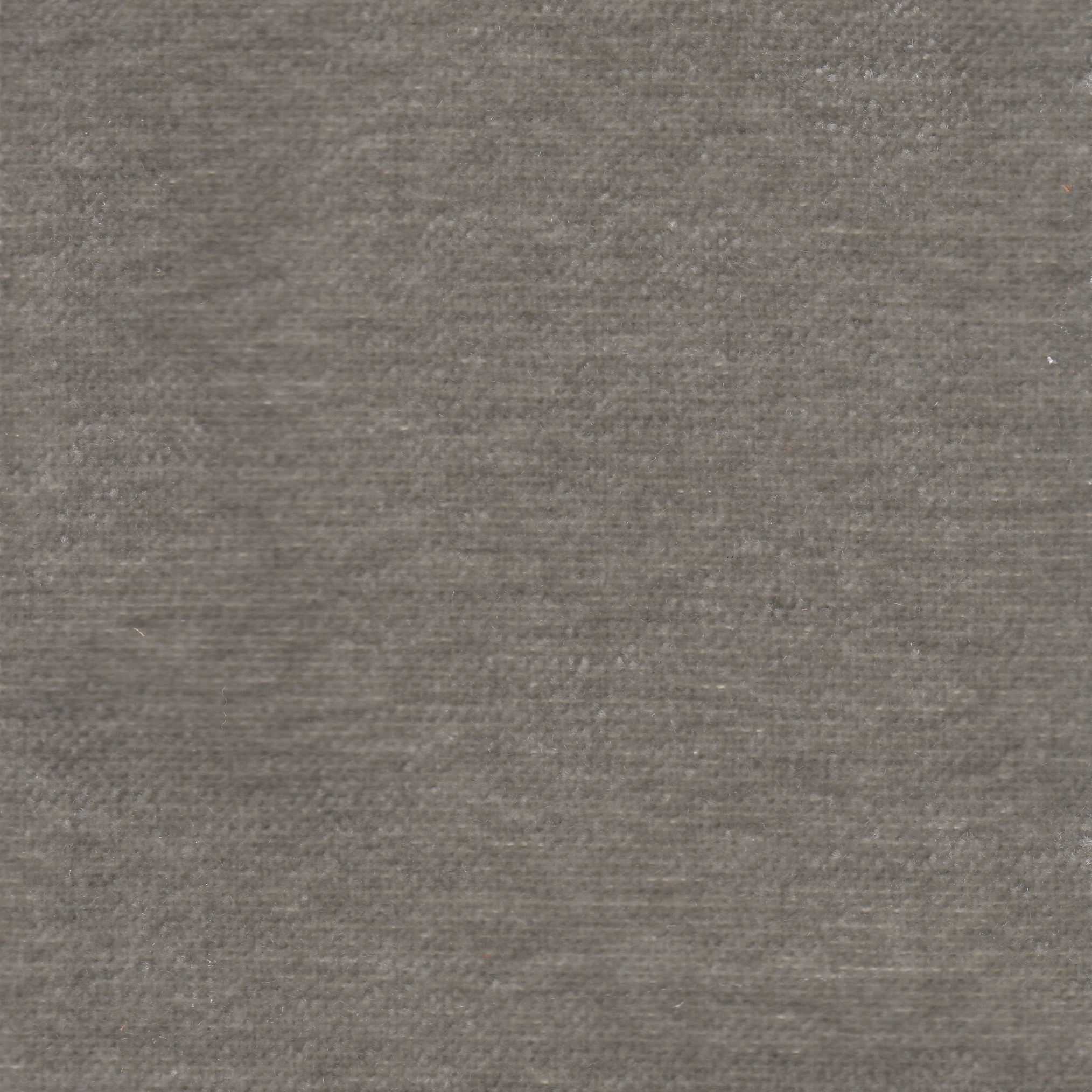 Cupido Taupe 08