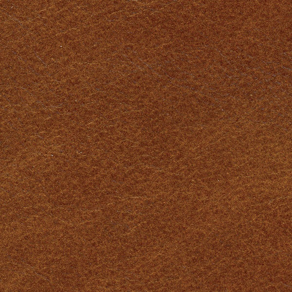 654-50 Spice