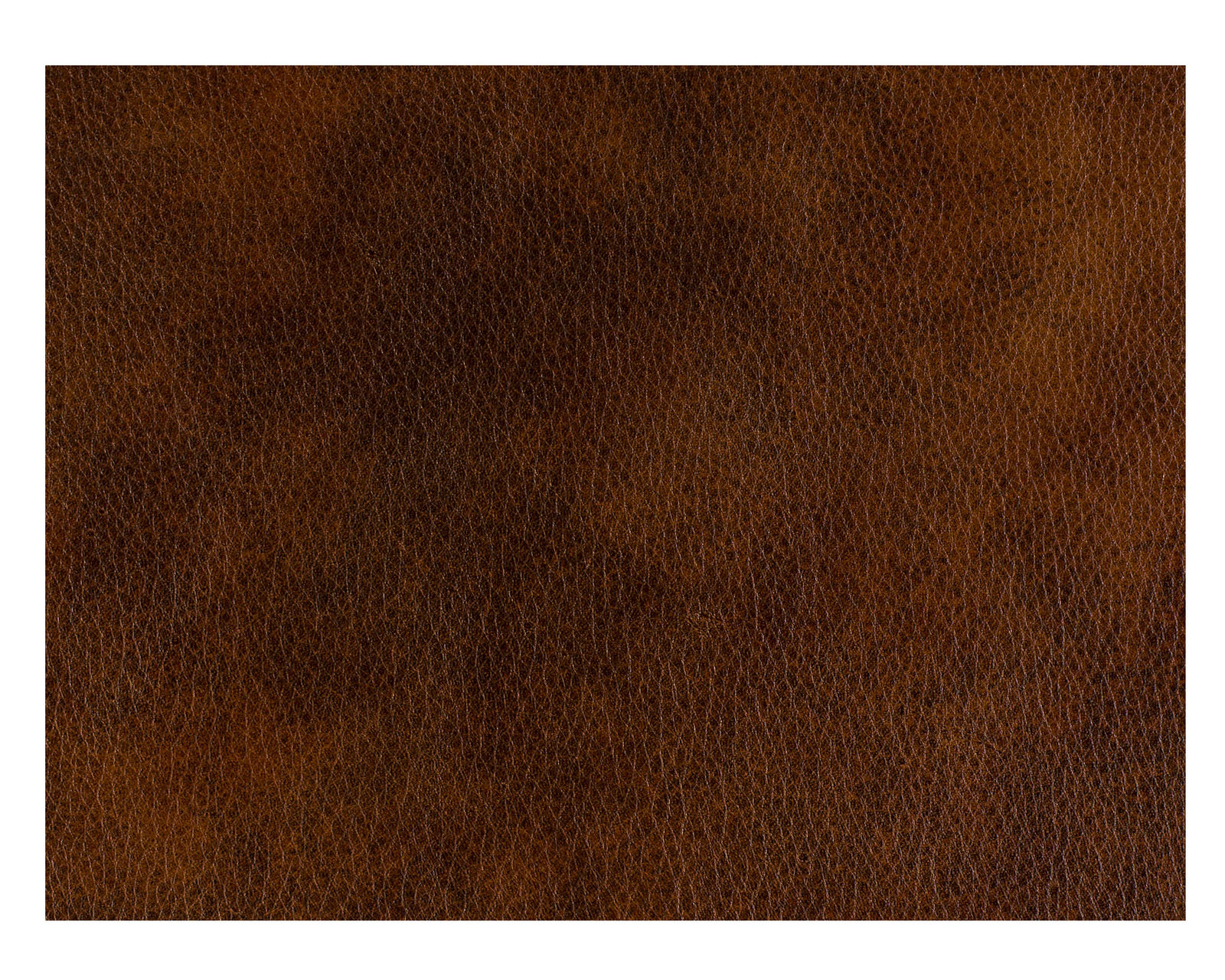 Bradington Young Carrado Stationary Sofa 8-Way Tie - Top Grain Leather - In Stock (Brown) - Carrado Stationary Chair -  8-Way Tie - Top Grain Leather - In Stock (Brown)