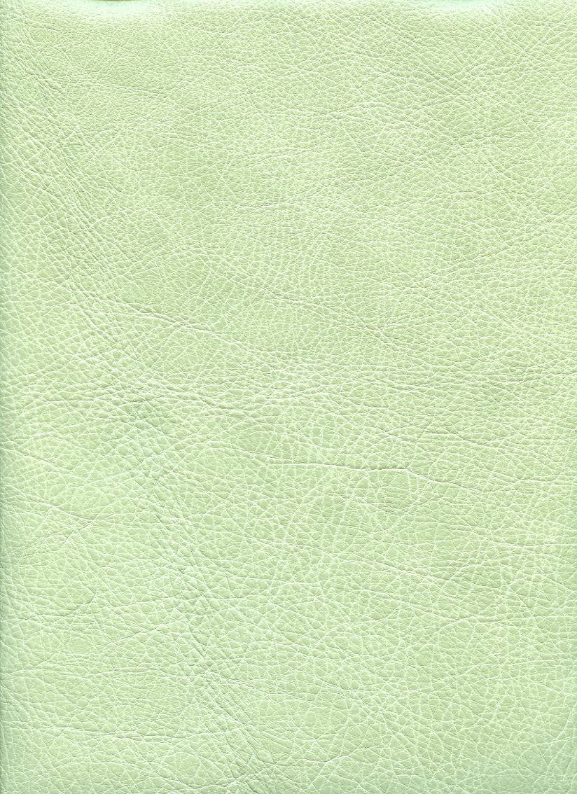 6152-33 (100% Leather)