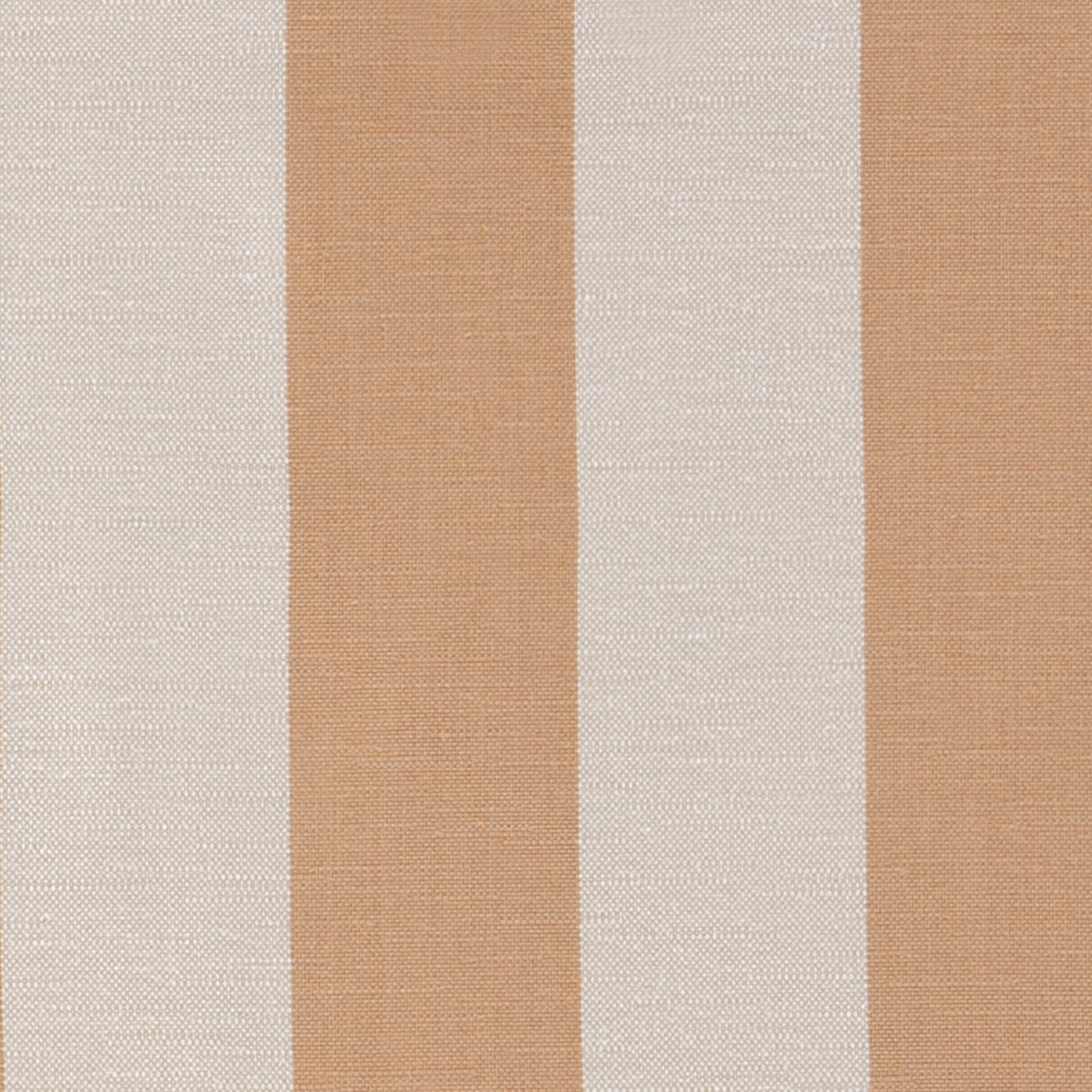 Rue Peach