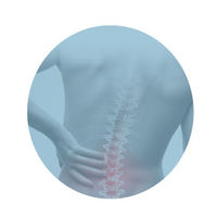 Power Lumbar