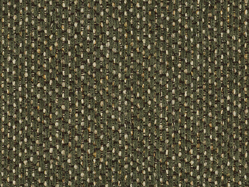 Premier Olive 19531 (Performance Fabric)