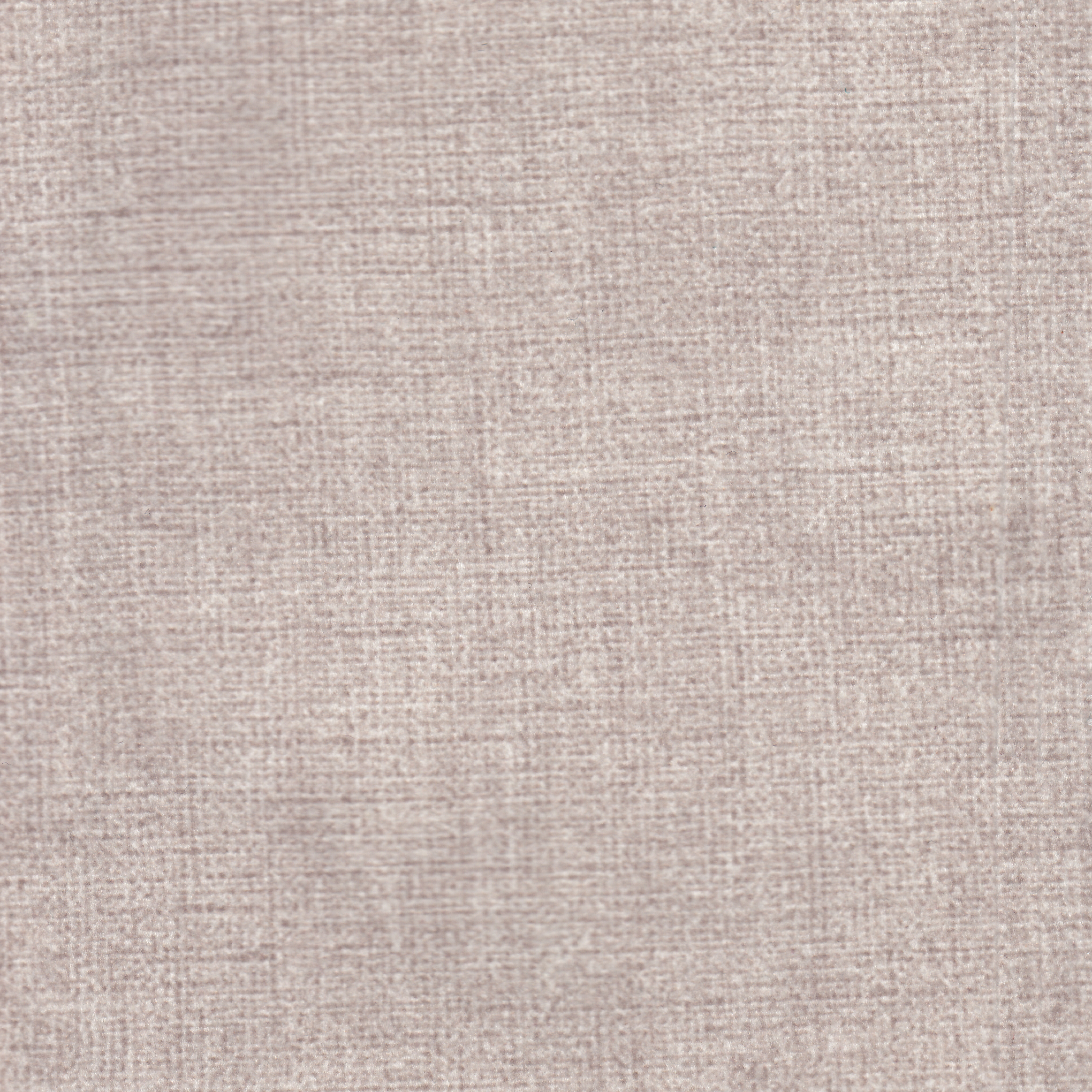 Afrodite Oyster 01