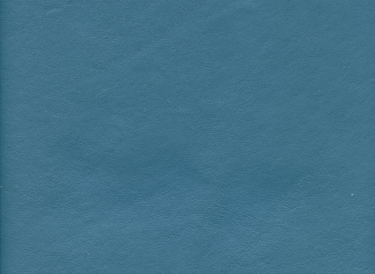 6169-27 (Leather Vinyl)