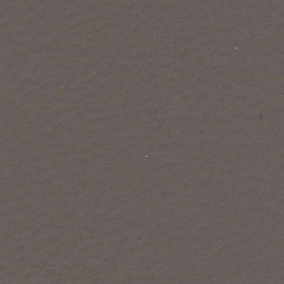 Le Mans Taupe 15F9