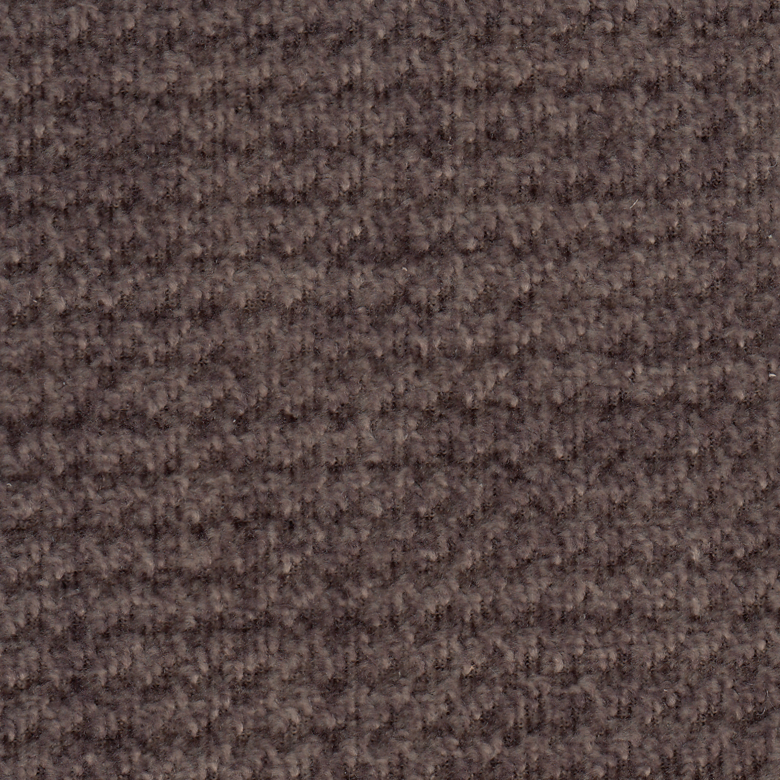 Brady Chocolate 214-21