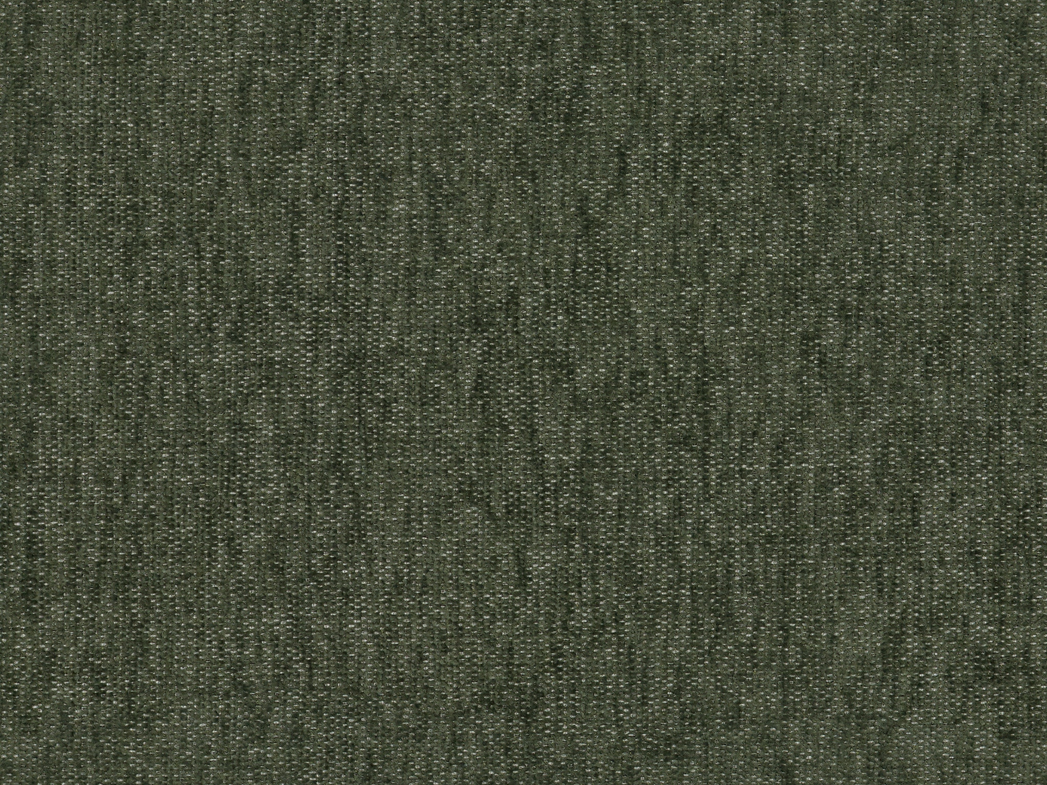 Dexter Eucalyptus