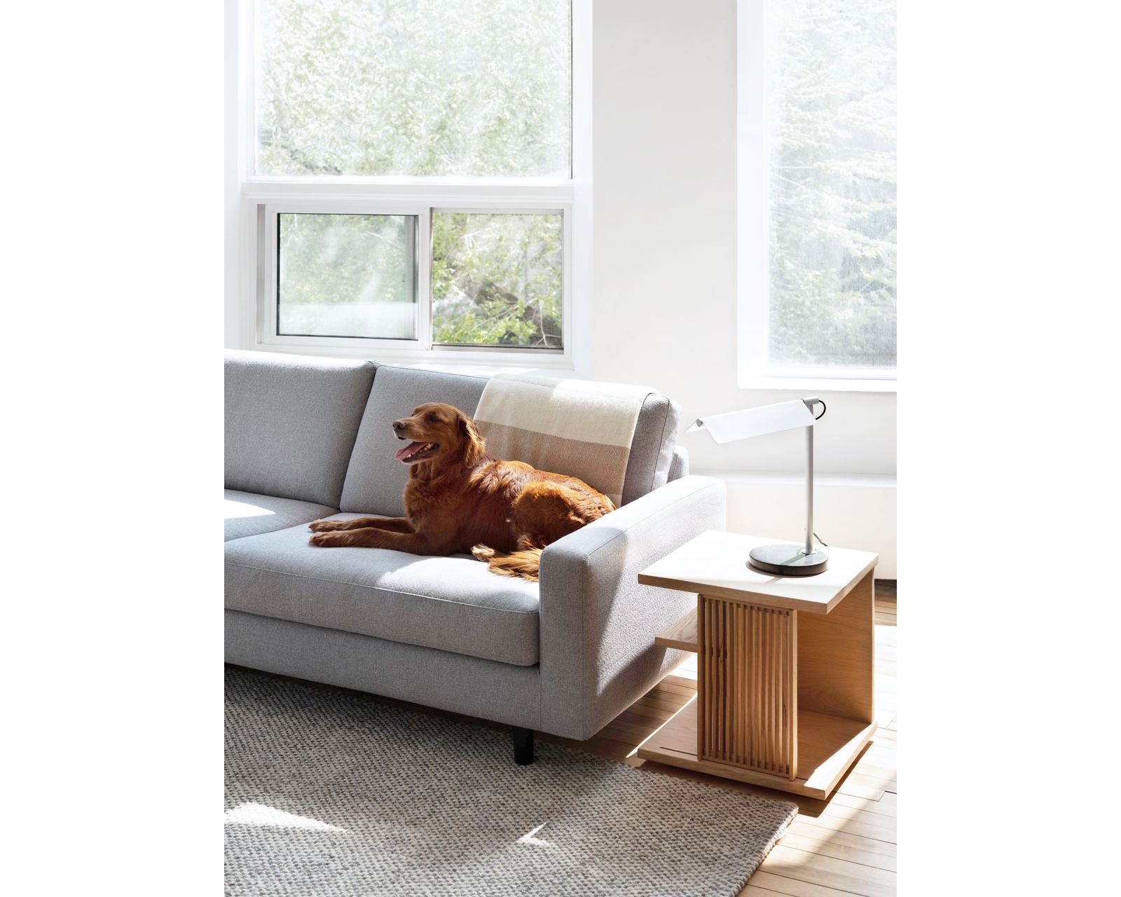 Oscar 77158 Sectional with Backless Chaise (+50 fabrics)