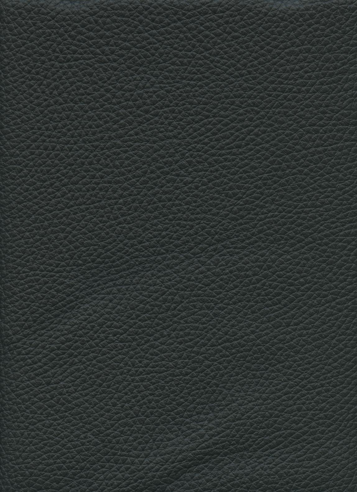 6505-01 (100% Leather)