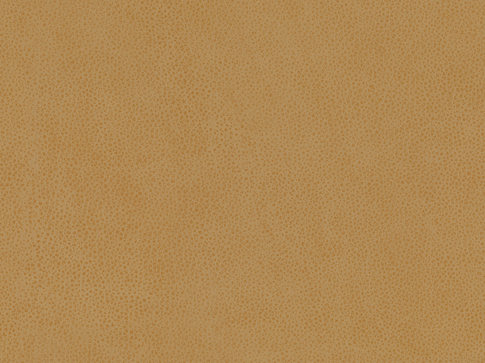 54729L Biscotti