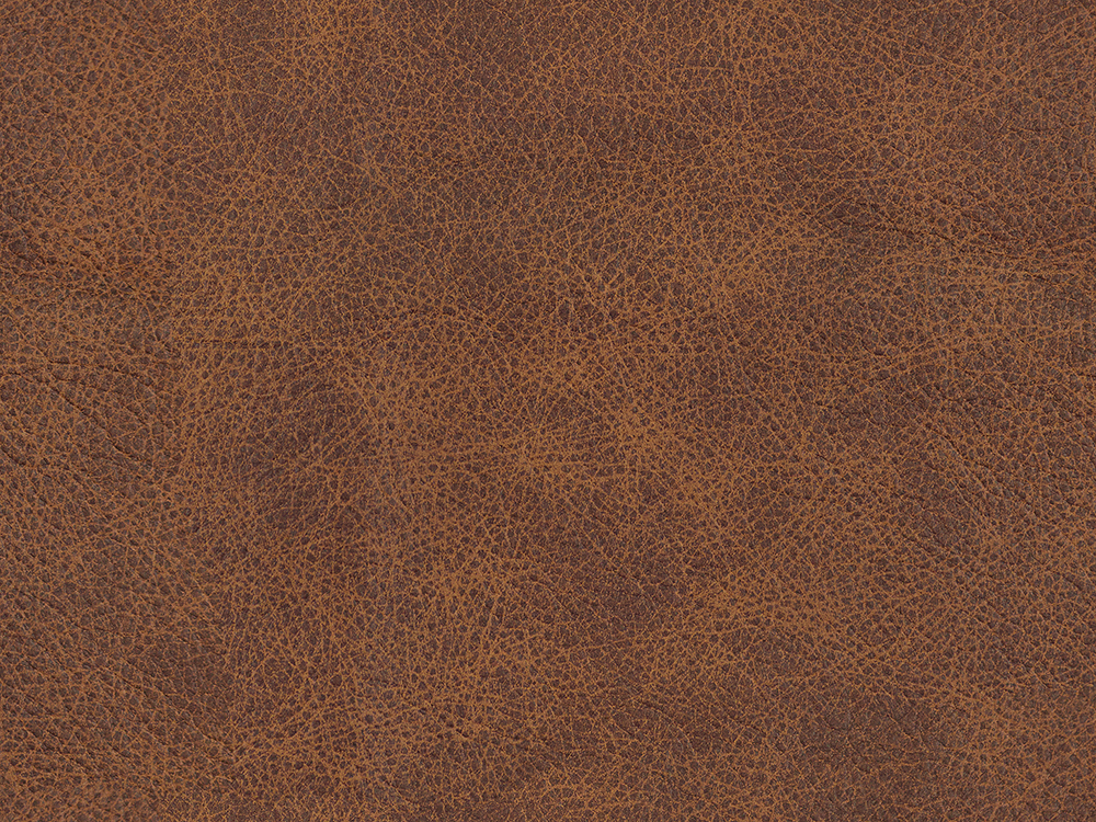 53554L Cognac