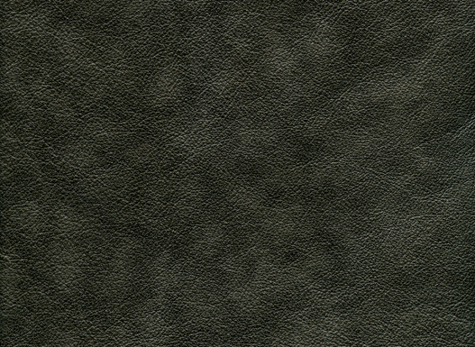 6133-91 (100% Leather)