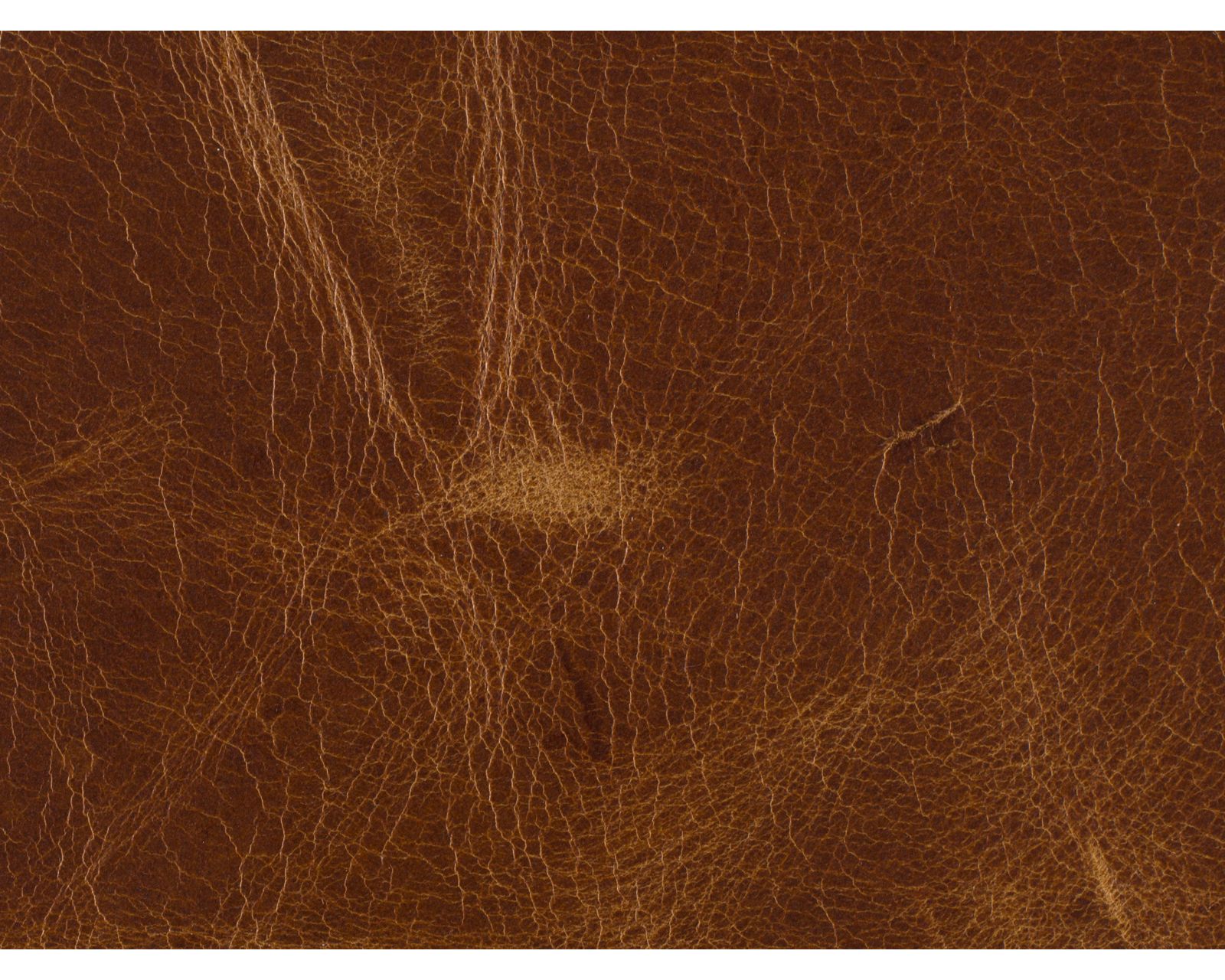 Yates Leather Stationary Sofa (In stock)