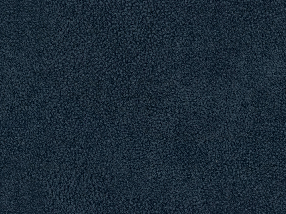 18442 Ocean