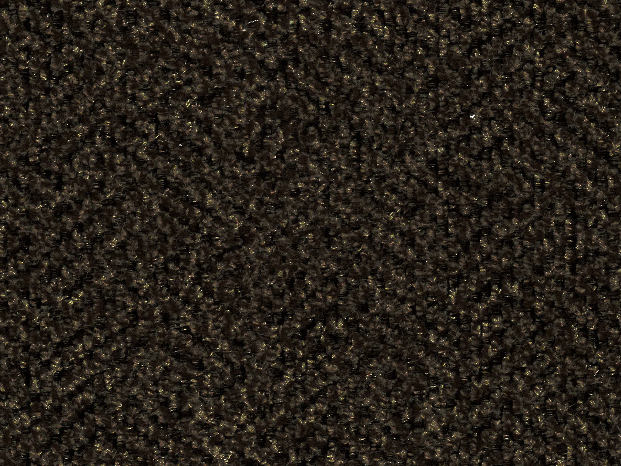 Urban Walnut