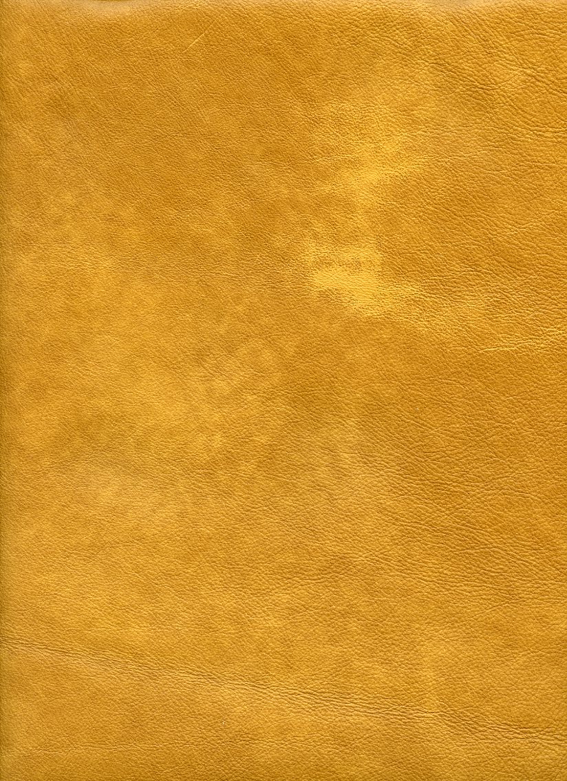 6147-32 (100% Leather)