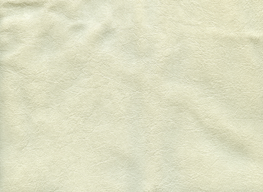6147-12 (100% Leather)