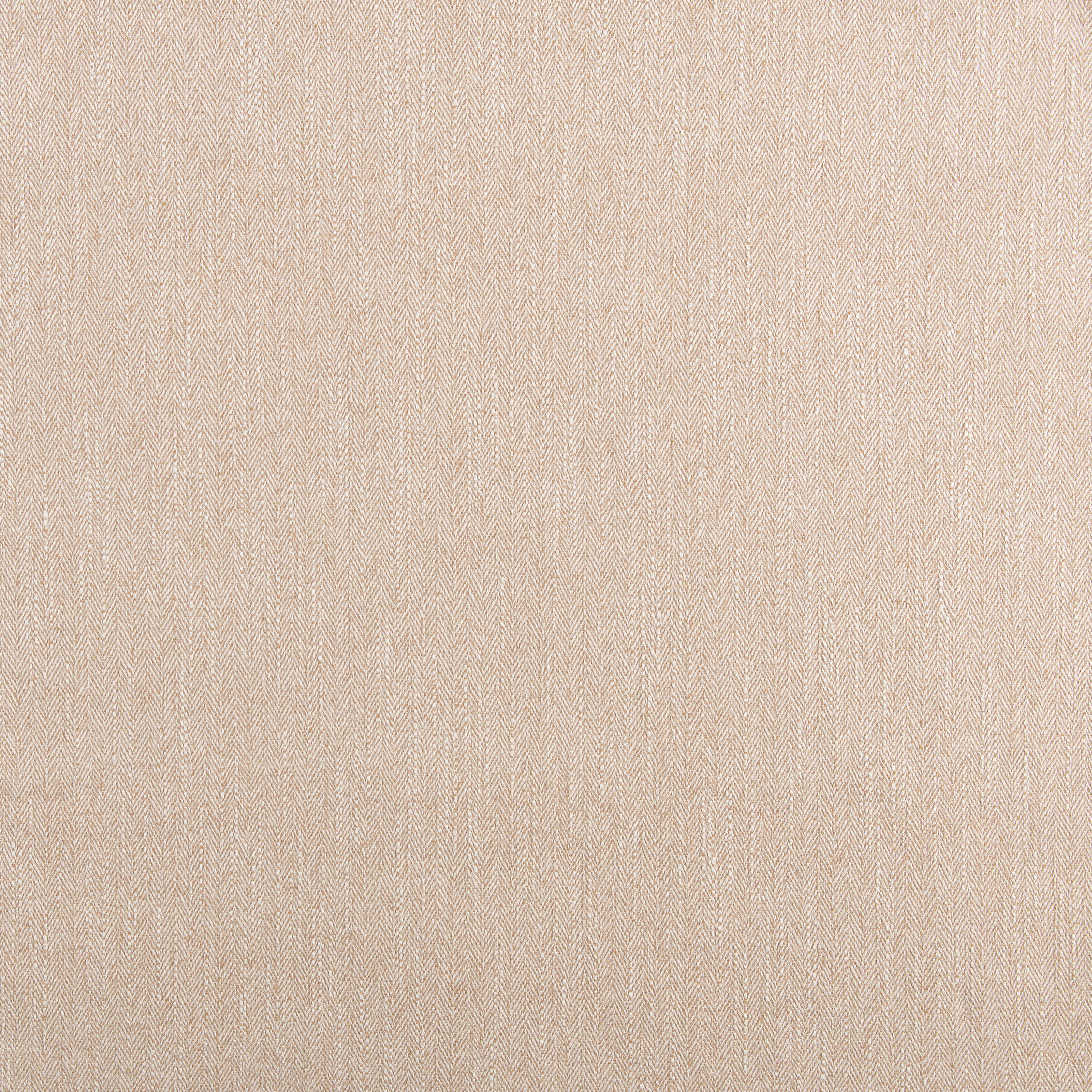 Drew Cameo (Standard)