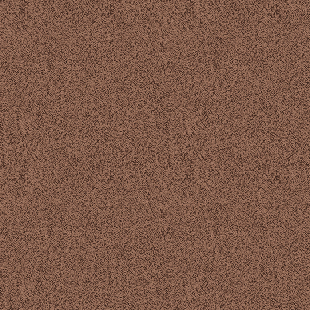 407-72 Camel