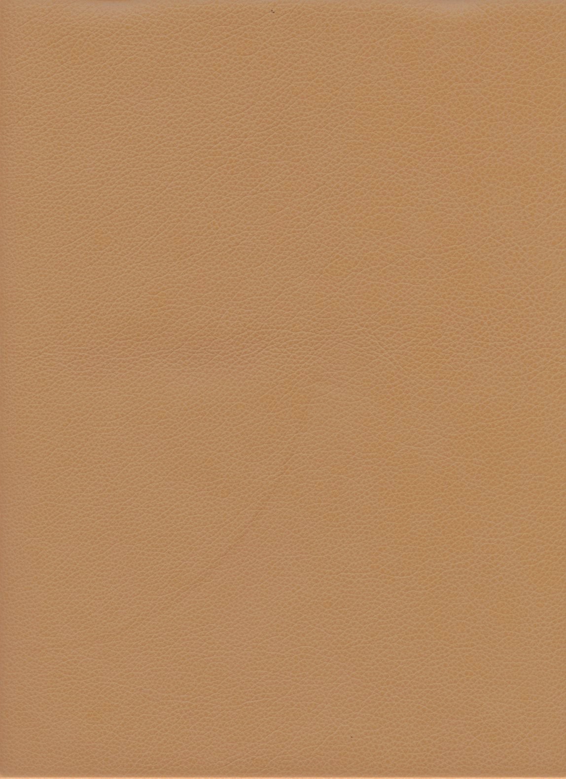6173-18 (Leather Vinyl)