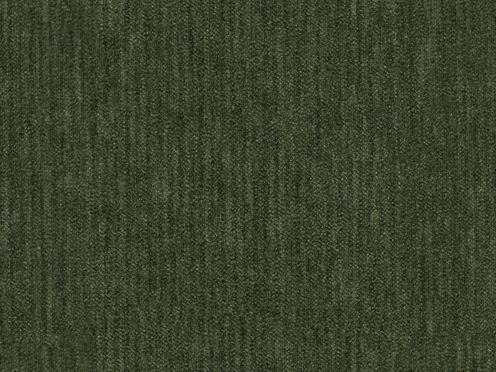 28651B Ivy