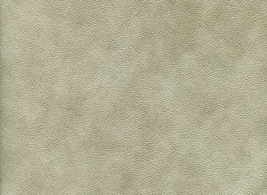 6133-58 (100% Leather)