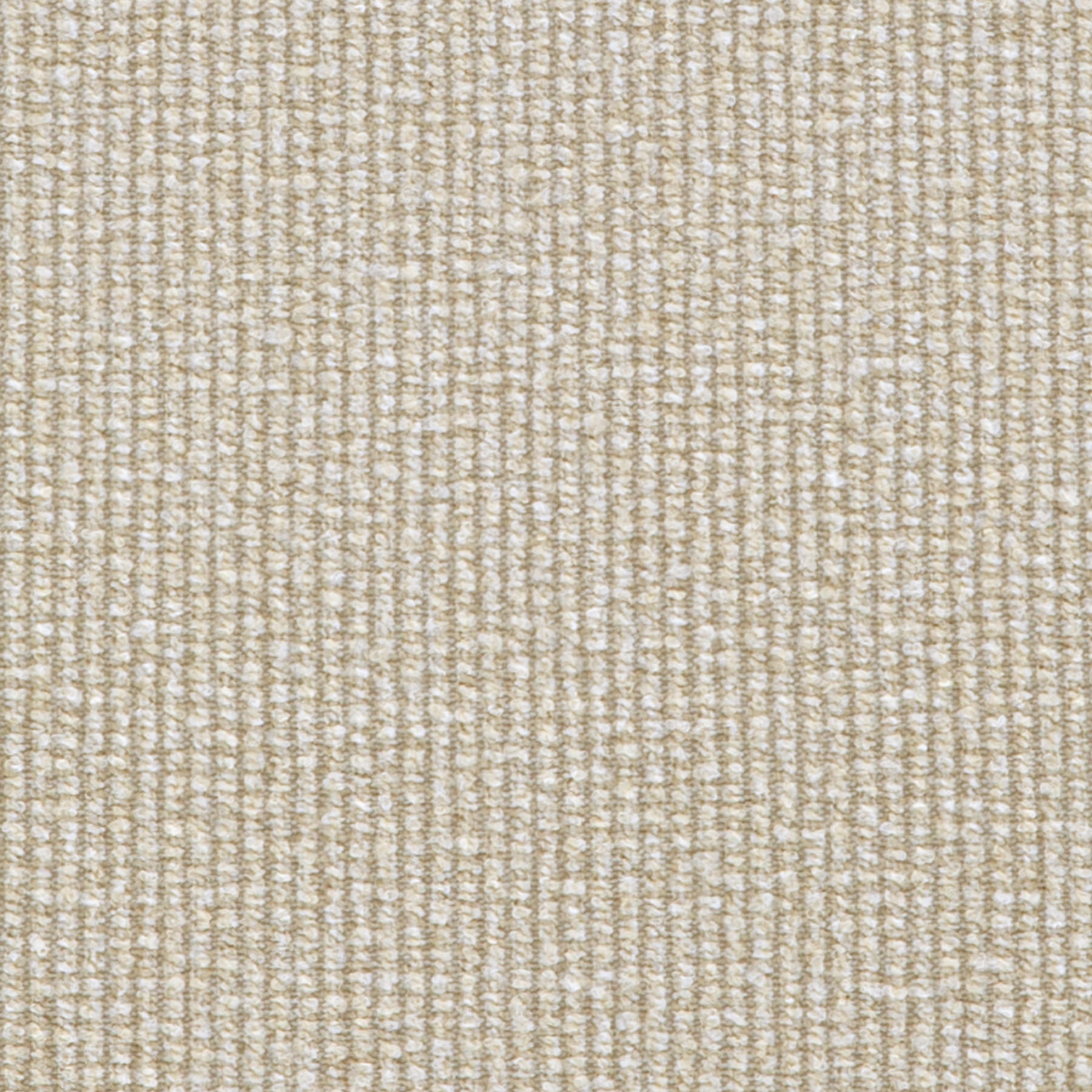 Haven Parchment