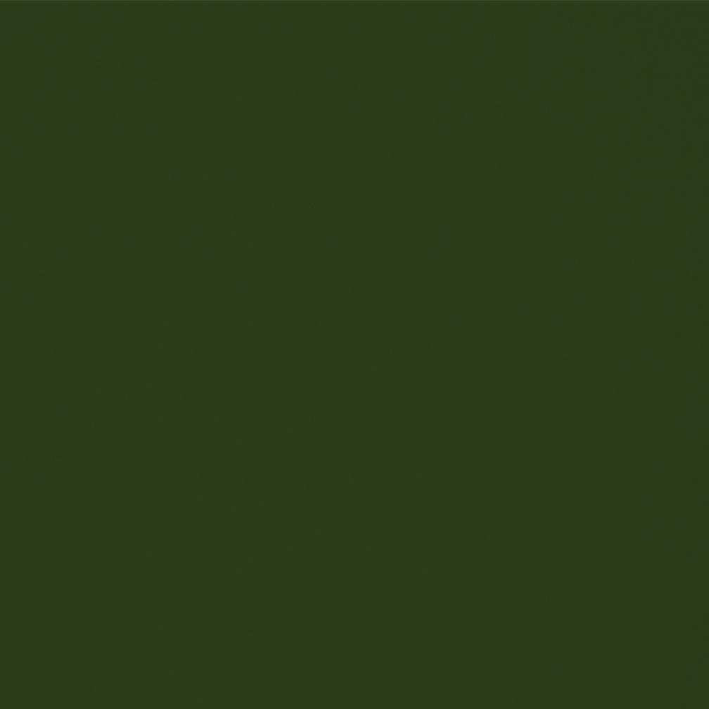 913-22 Olive