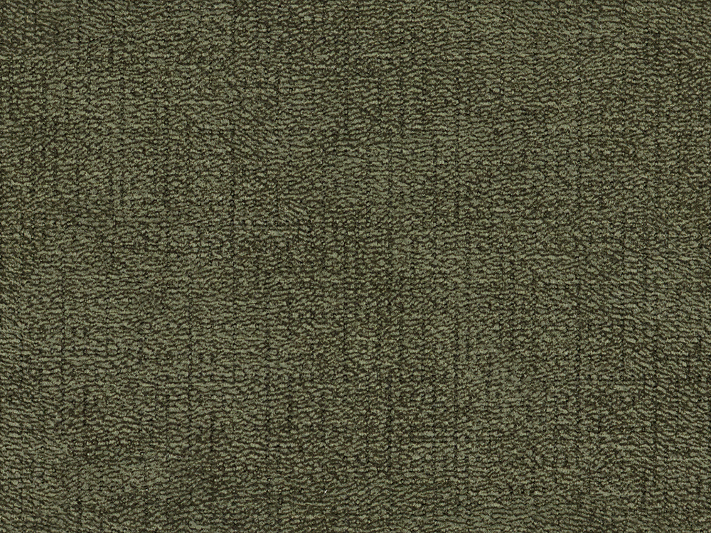 20331 Basil