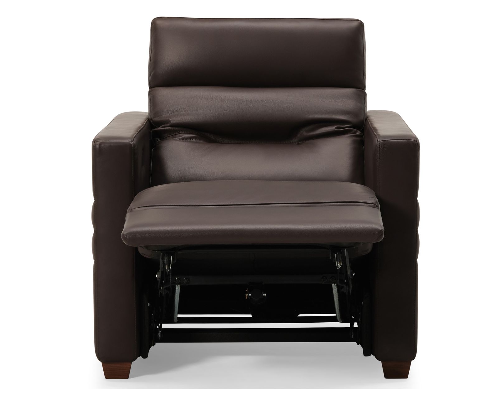 Reece 40109 Triple Power Reclining Sofa (81") +100 leathers - Includes Triple Power - Power Recline, Power Headrest and Power Adjustable Lumbar