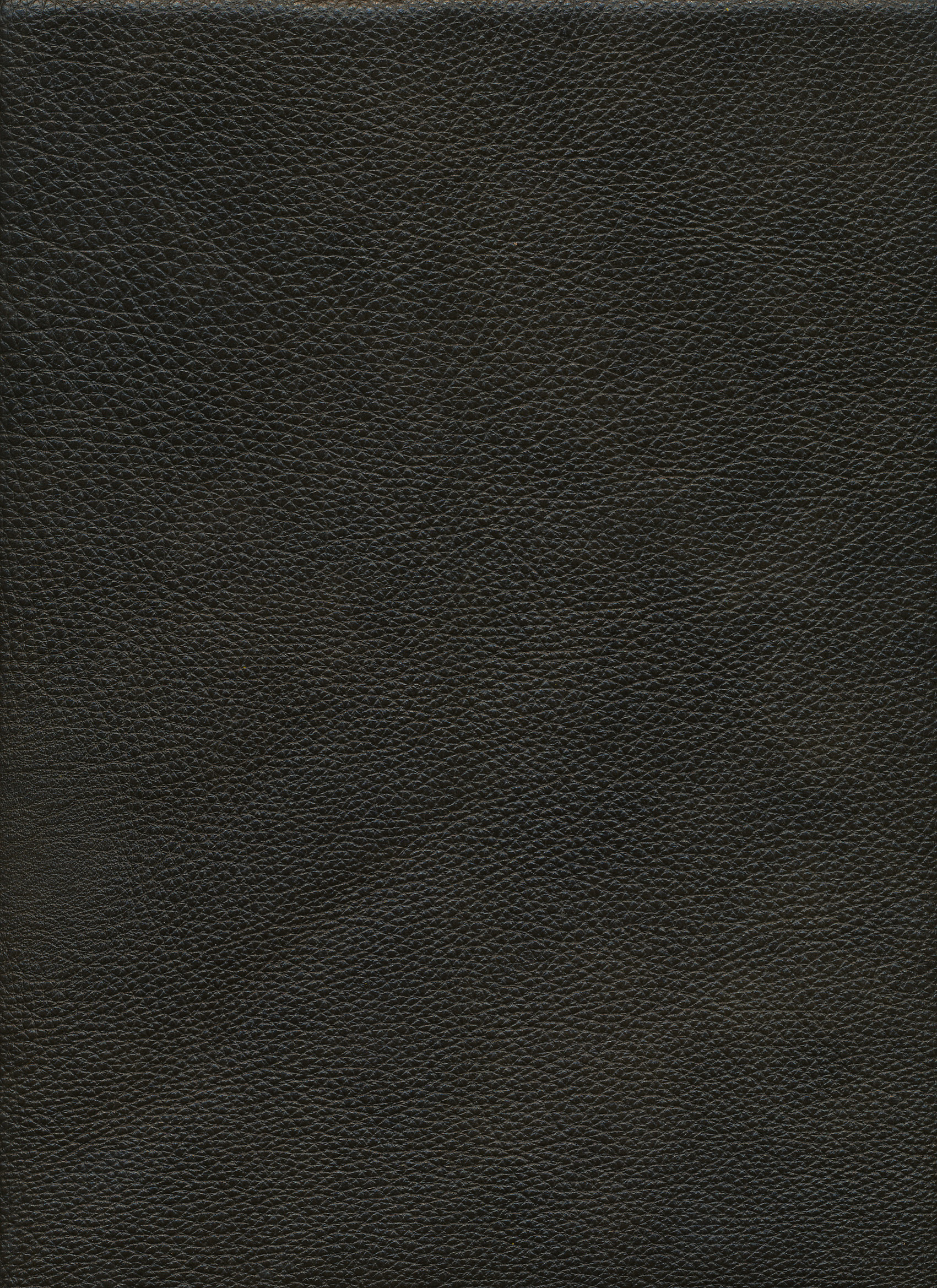 Leather Maximus Fossil (957-18)
