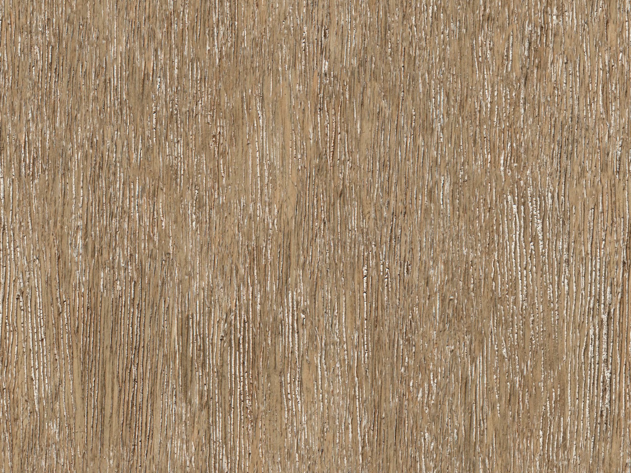 Sunbleached Cypress