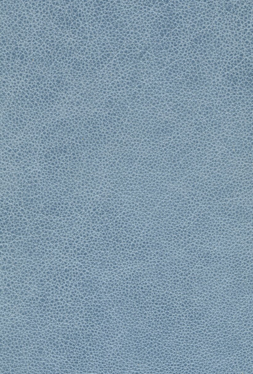 6173-07 (Leather Vinyl)