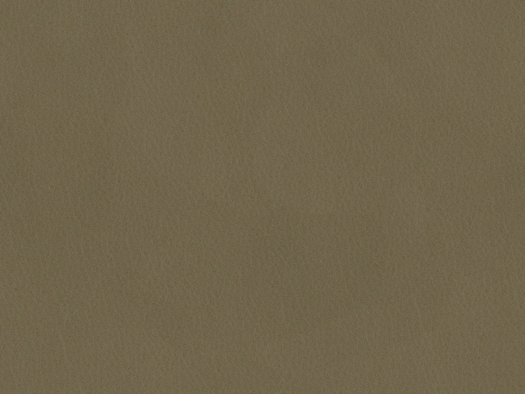 Fiore-10
