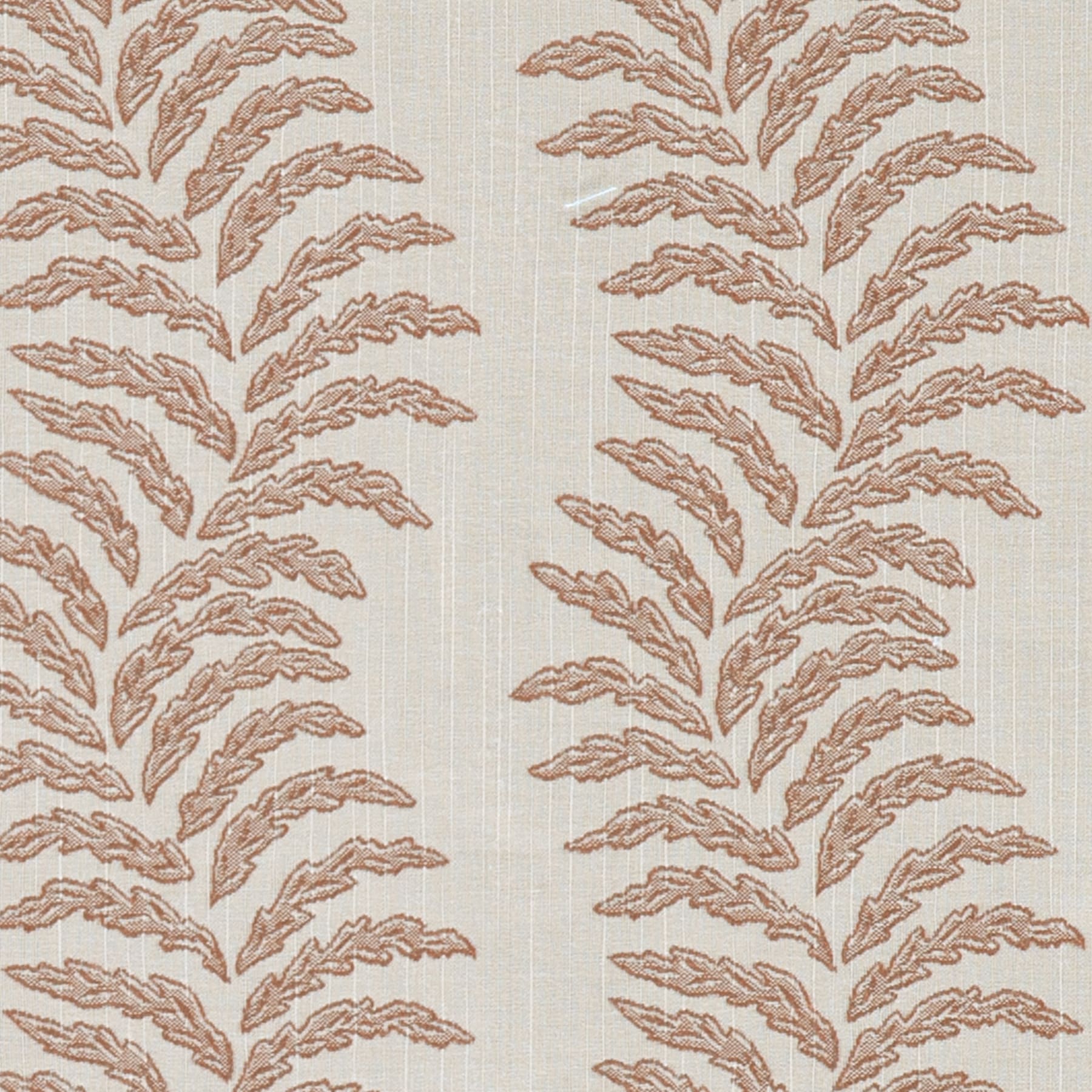 Swoon Terracotta