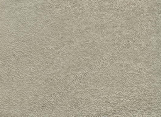6137-21 (100% Leather)