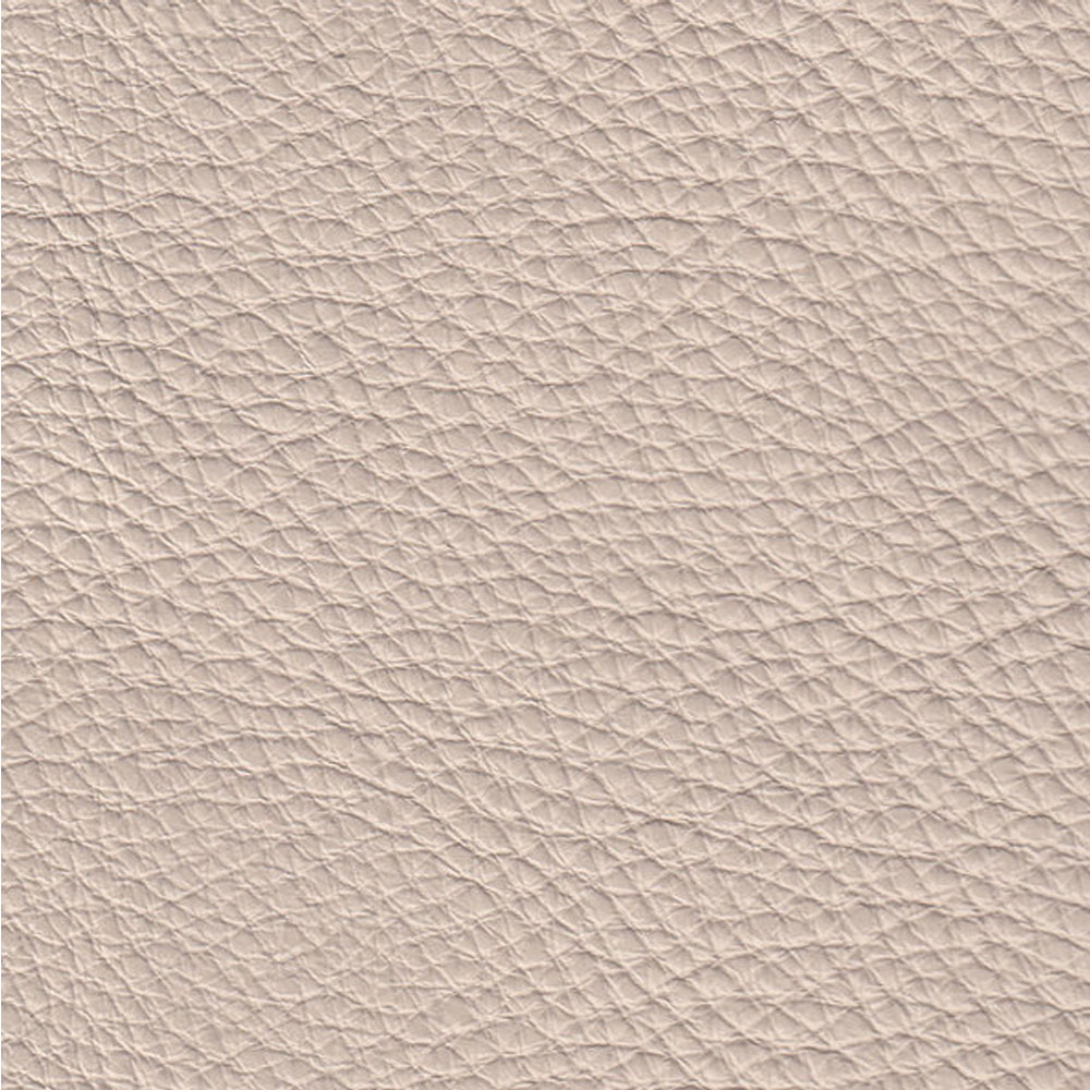 Dream Beige 20JJ